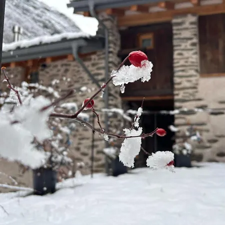 Riverside Jean 3* 폰트보세트